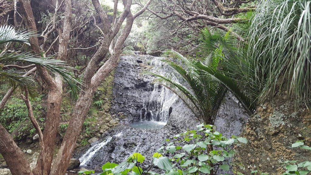 Visiting Karekare Falls, New Zealand