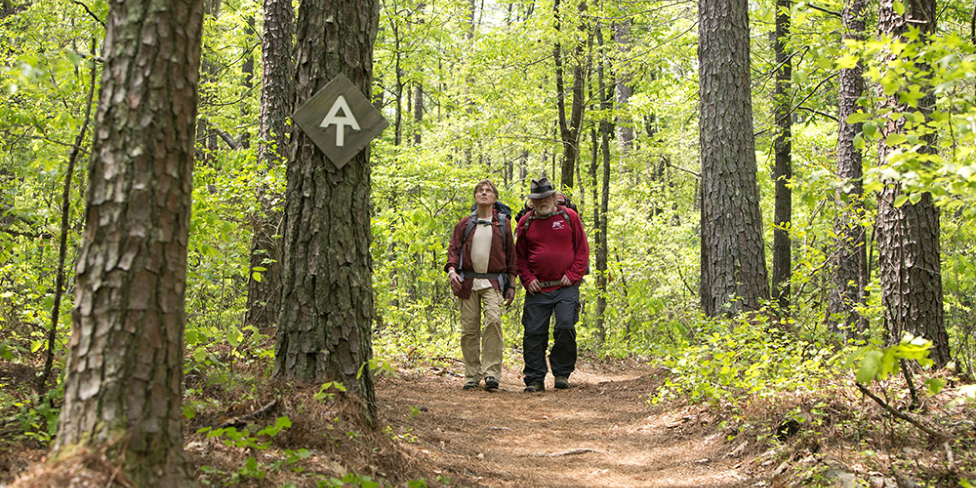 a walk in the woods movie