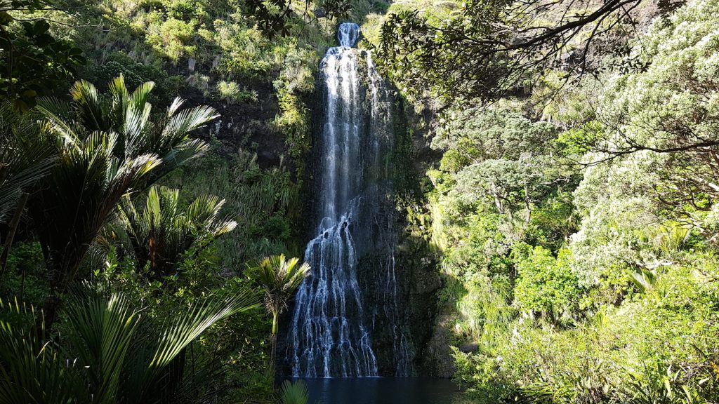visiting Karekare falls New Zealand