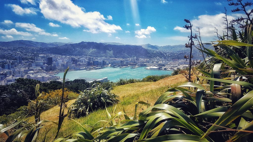 The Top 10 Things To Do In Wellington