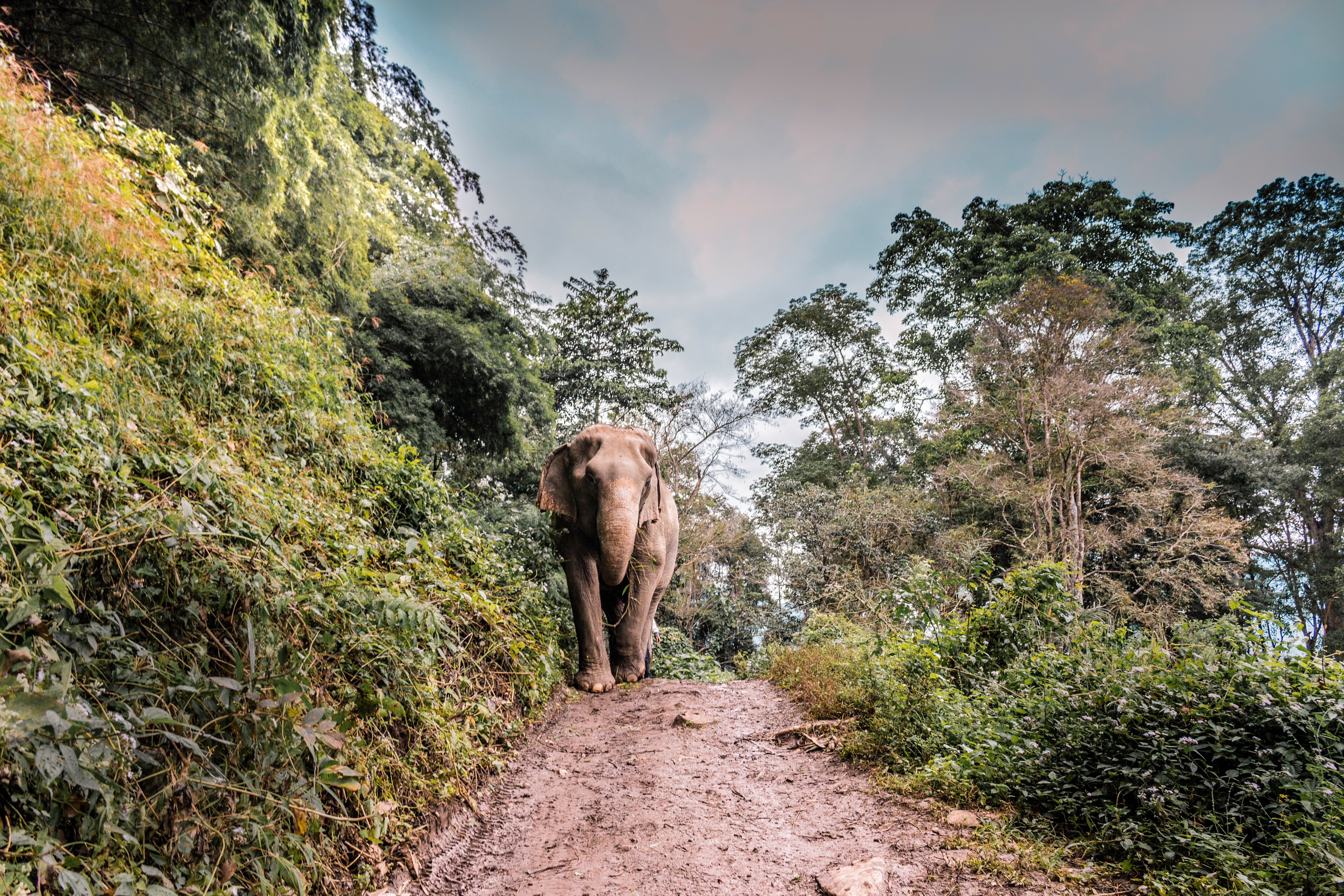 Chiang mai, thailand