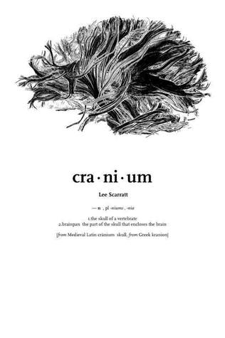 cranium by lee scarratt