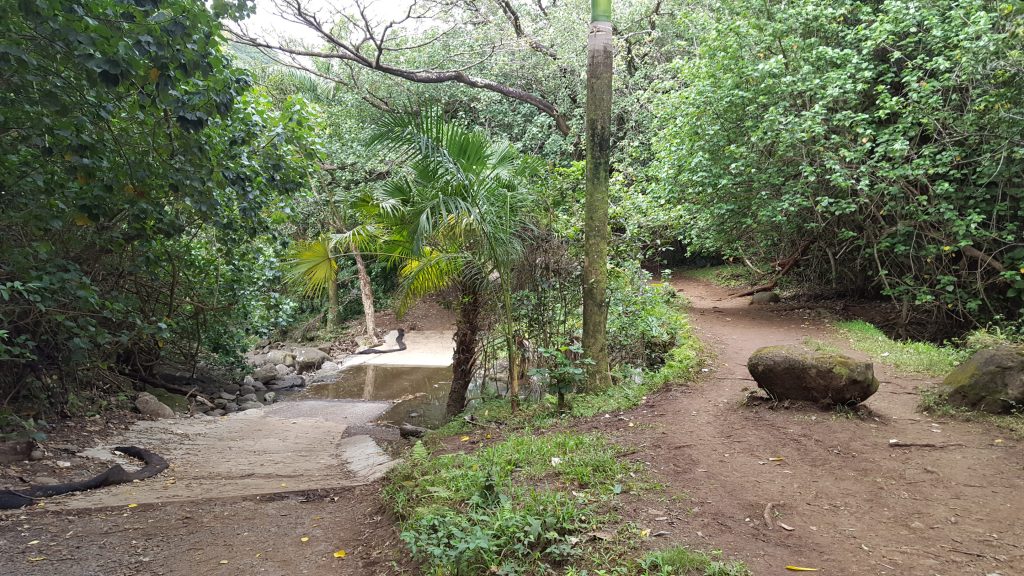 the haiku stairs trail