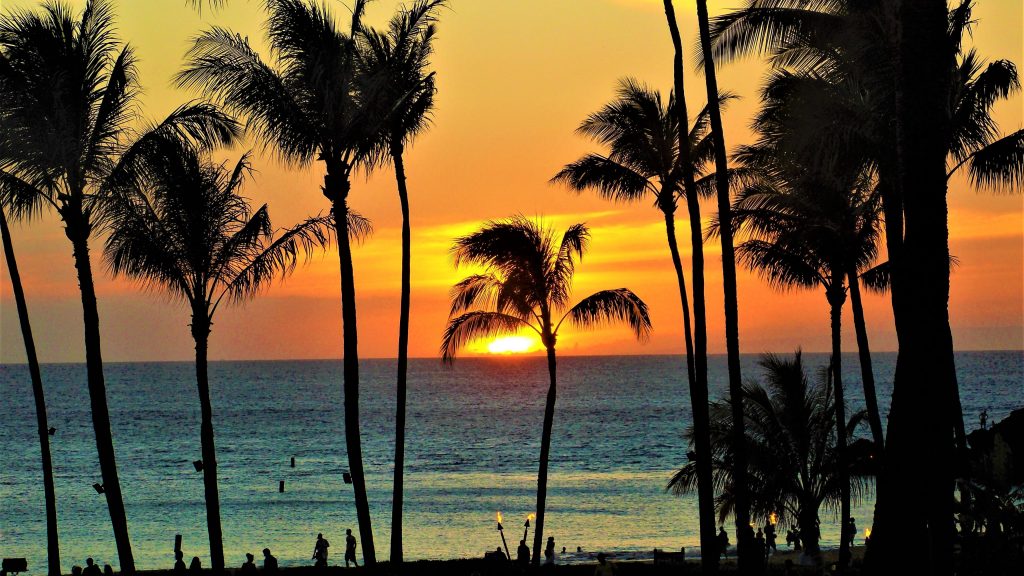 the best things to do in hawaii