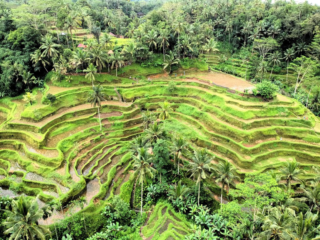 what to see in ubud