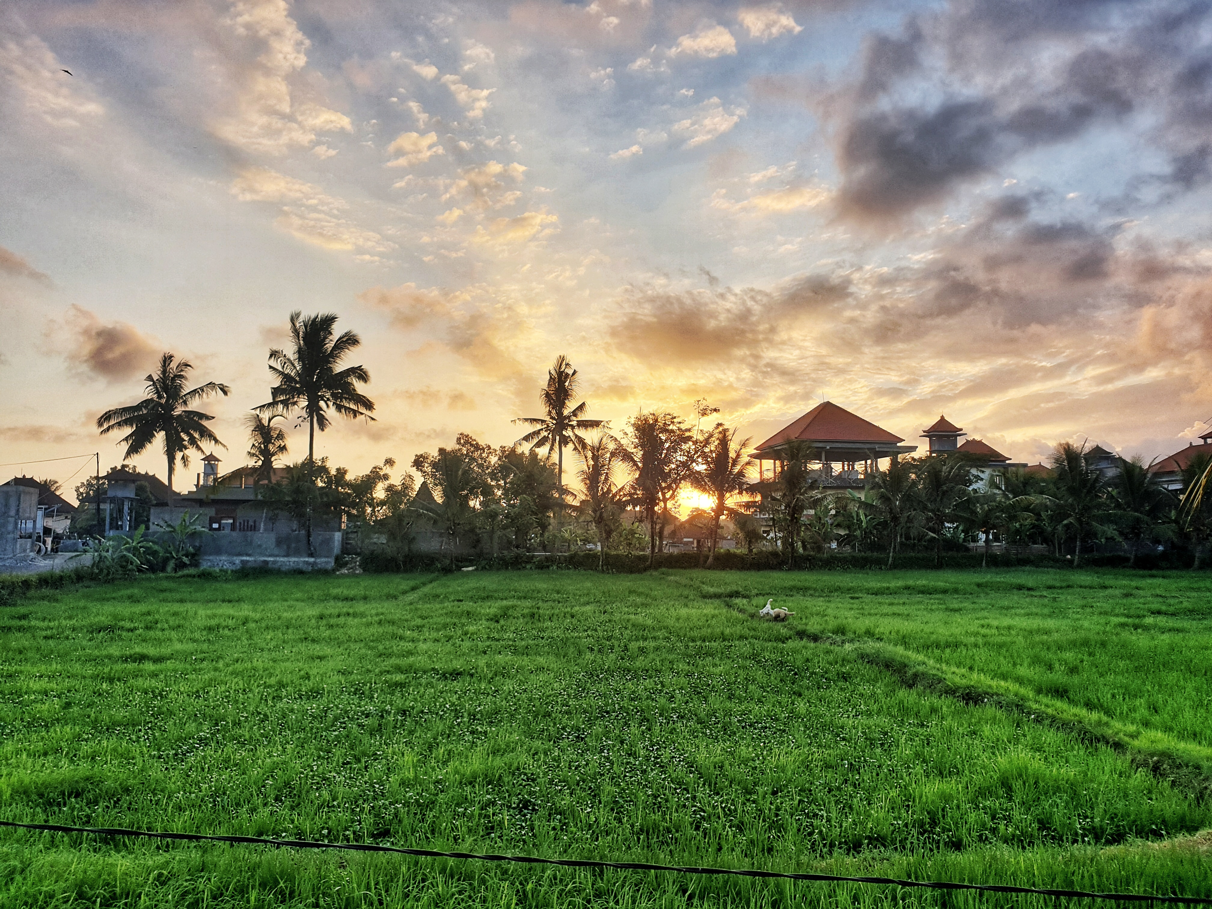 Bisma Cottages, Ubud, Bali, Indonesia