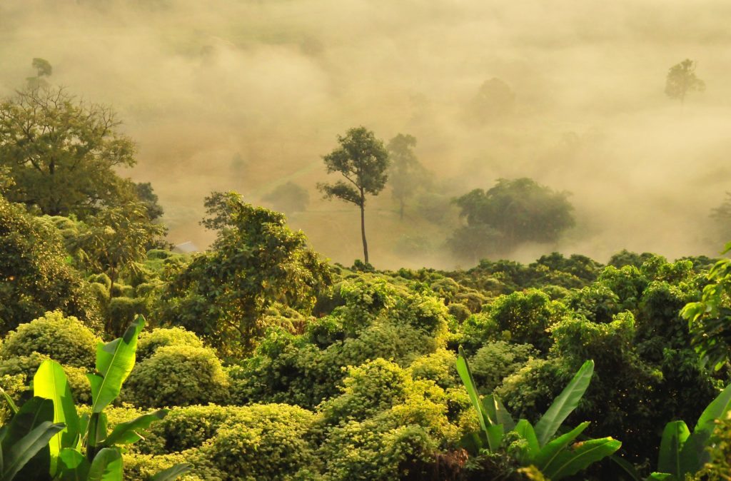 national park, phu Quoc, vietnam