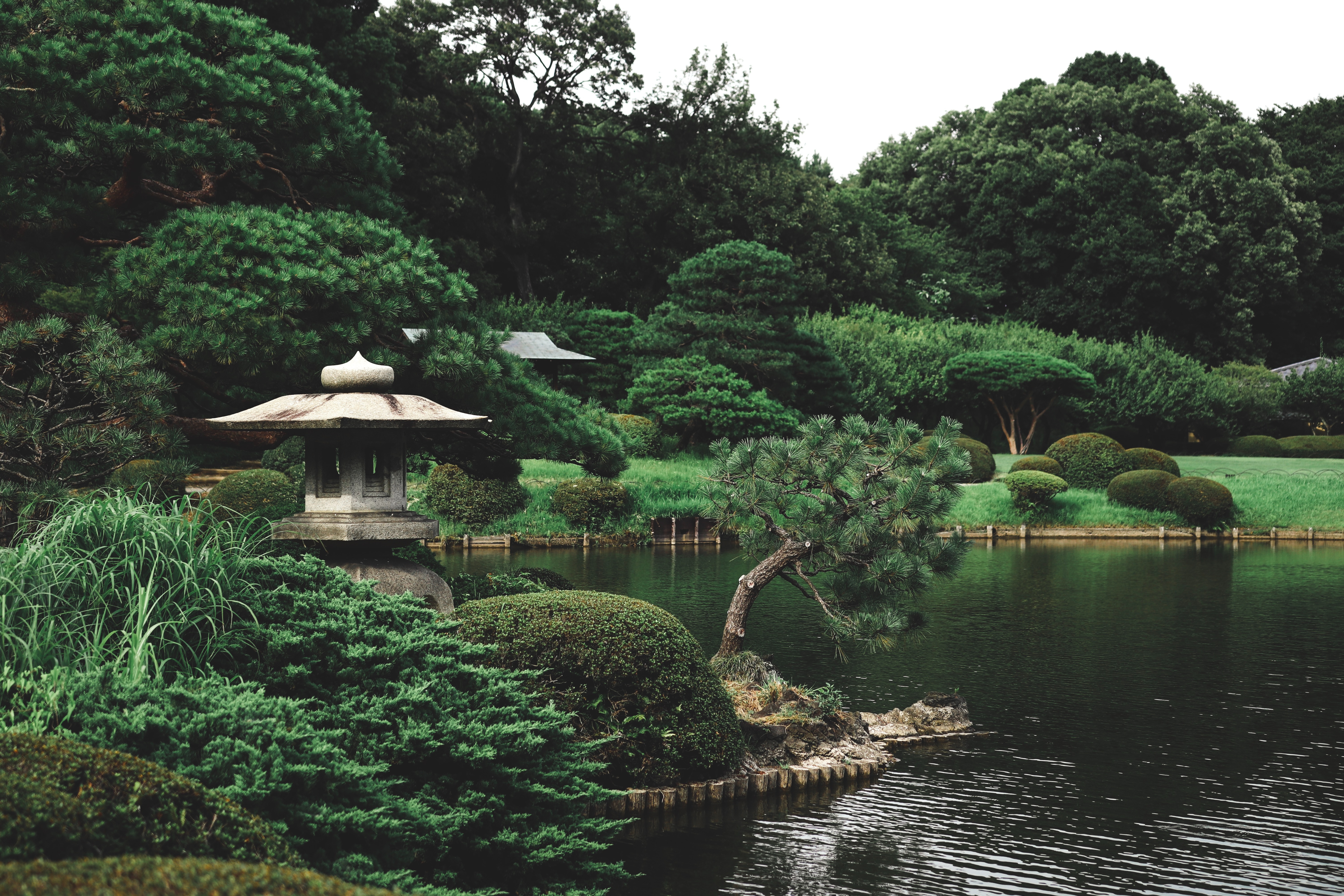 Shinjuku Gyoen Gardens, Tokyo, Japan