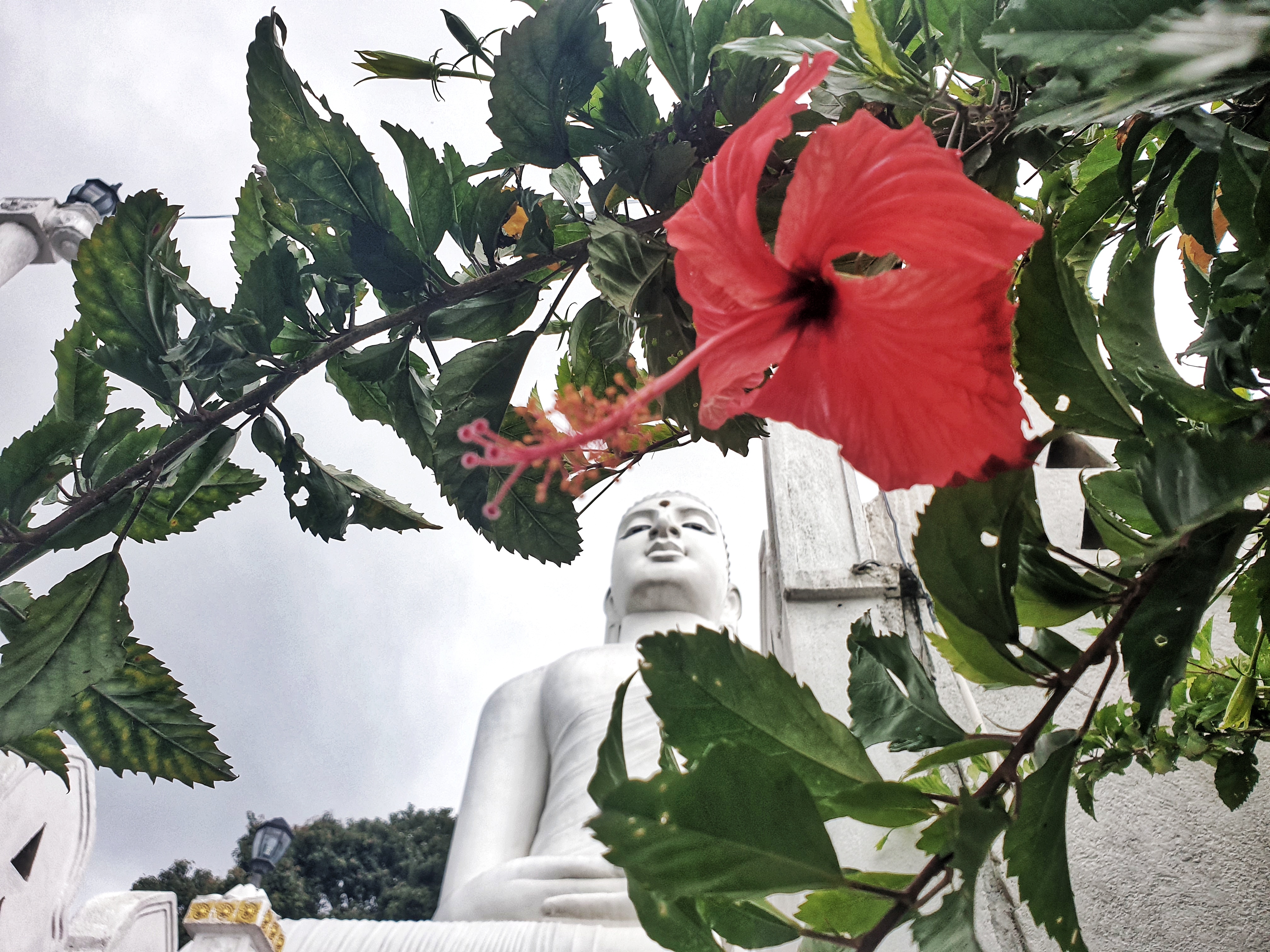 Big Buddha, Kandy, Sri Lanka