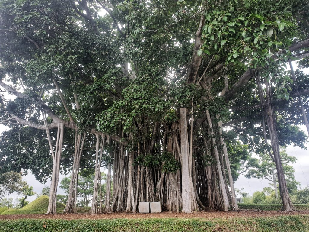 Tri Lanka, Galle, Sri Lanka