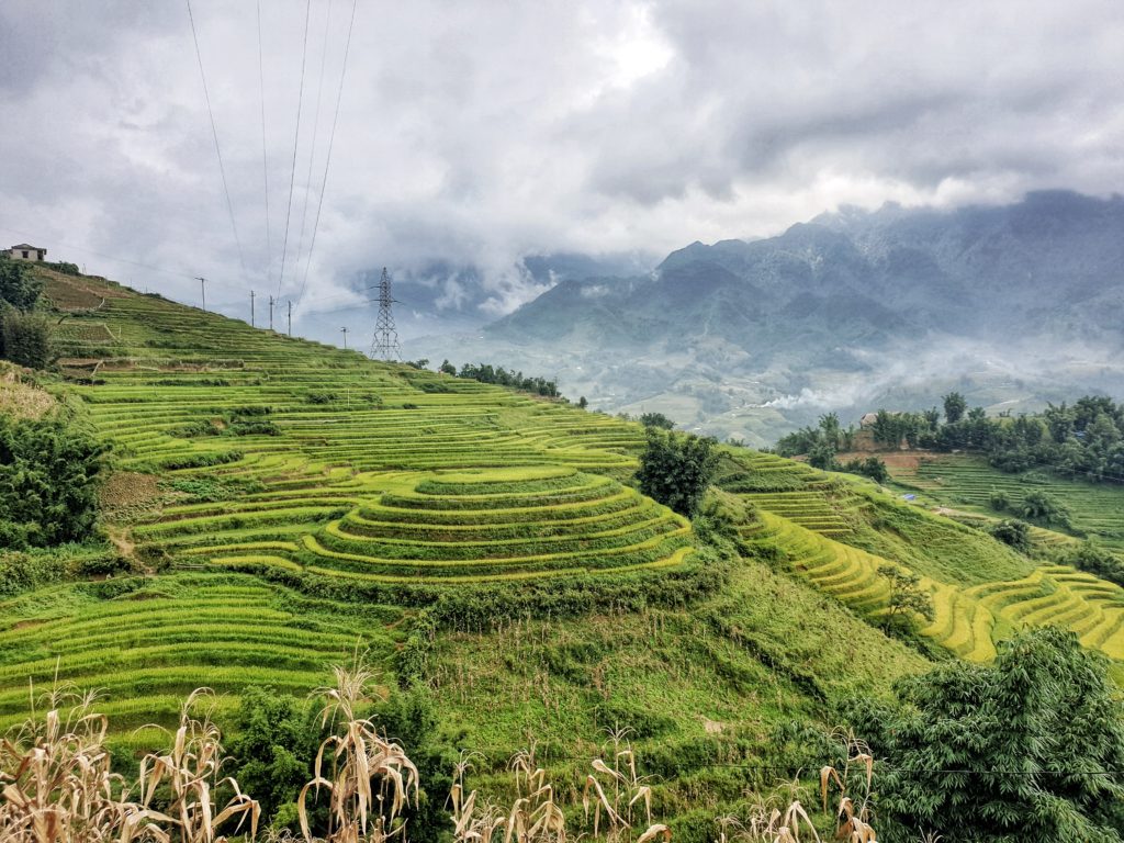 Sapa Rice Fields, Sapa. Vietnam