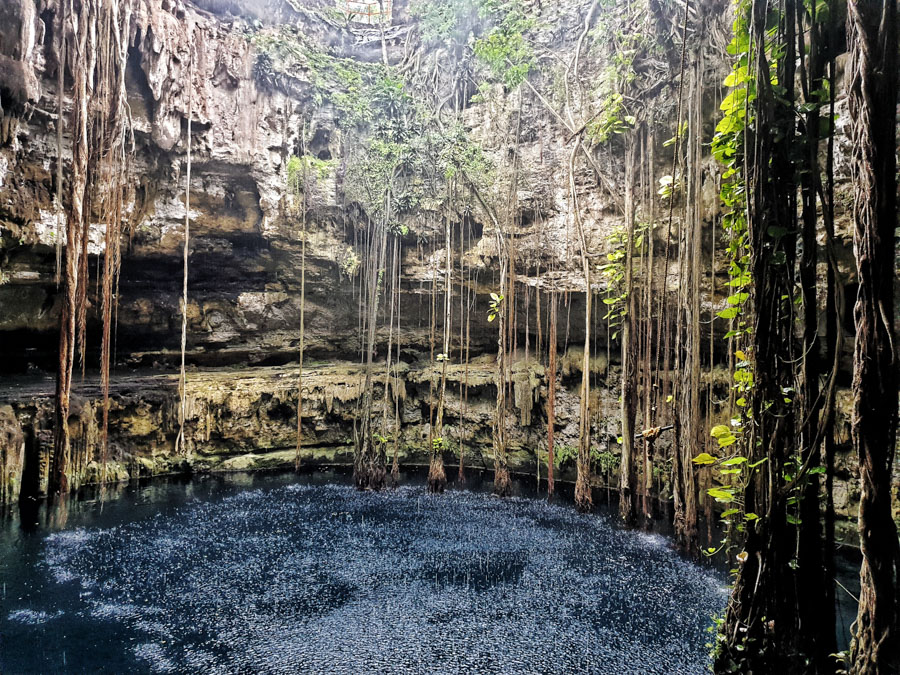 Cenote, Chichen Itza, Mexico