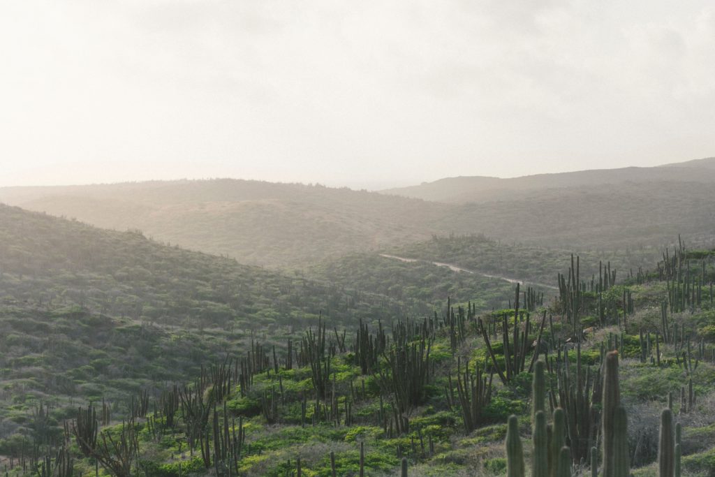 Aruba