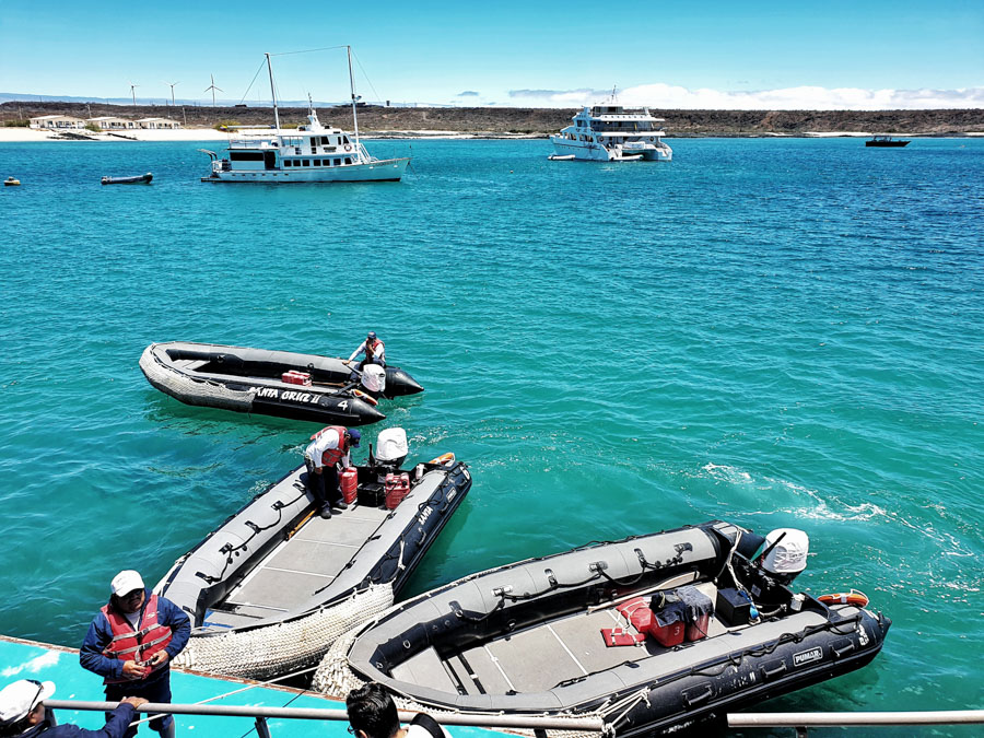 Santa Cruz II Cruise, Galapagos, Metropolitan Tours, Ecuador