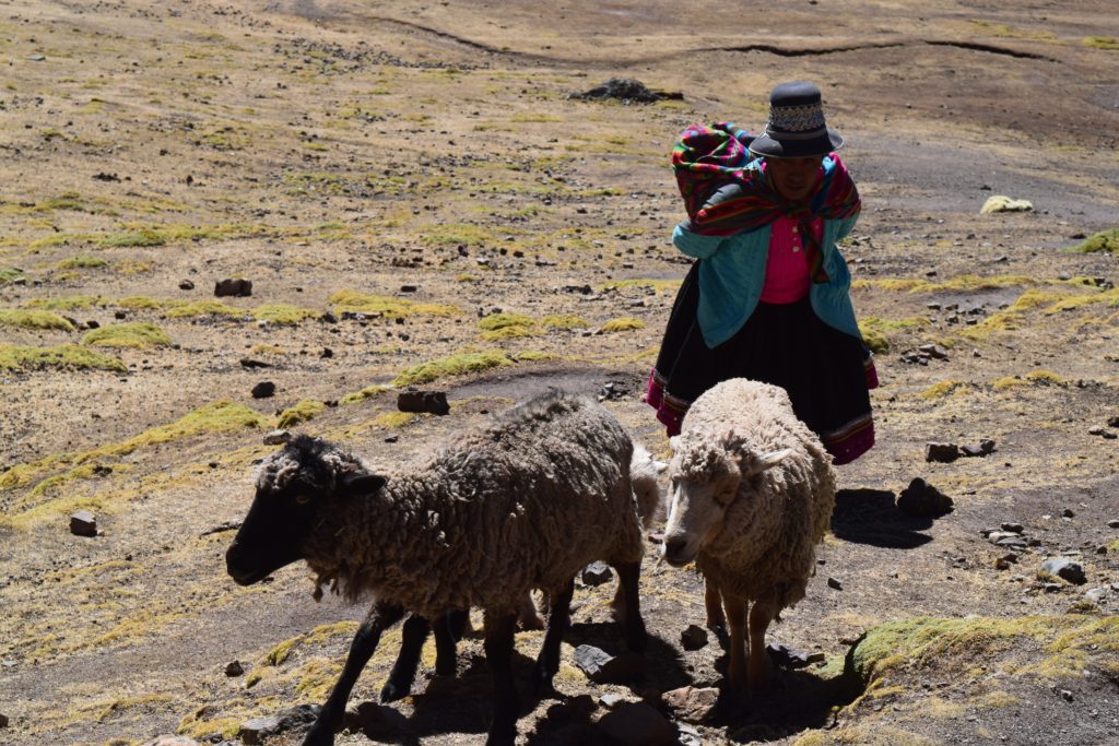 First Step Expeditions, Rainbow Mountain, Cusco, Peru