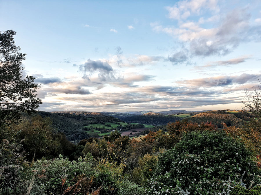 Forest of Dean and Wye Valley