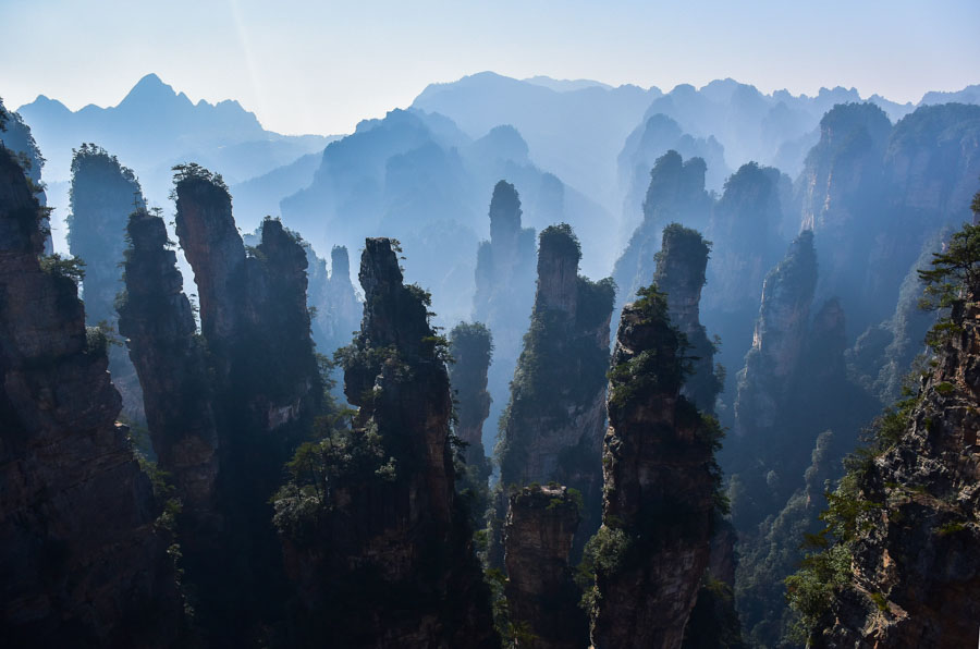 Forest Park-China-Landscape