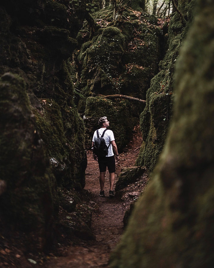 Puzzlewood, Forest of Dean, Wye Valley, Wales