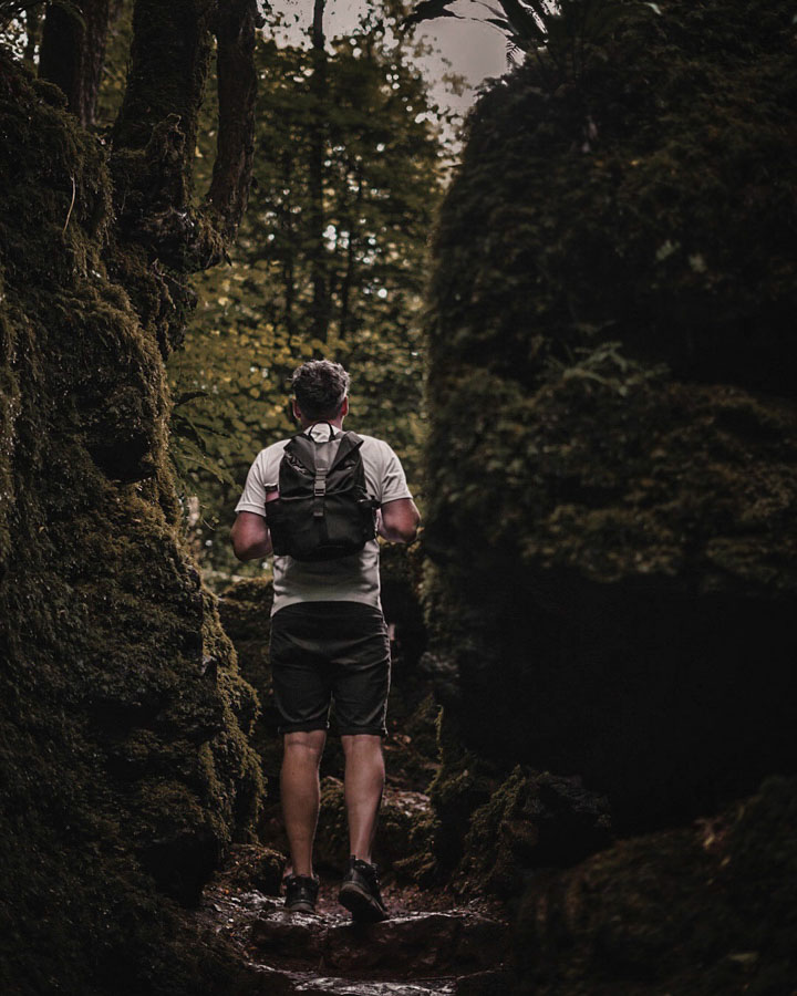 Puzzlewood, Forest of Dean, Wye Valley