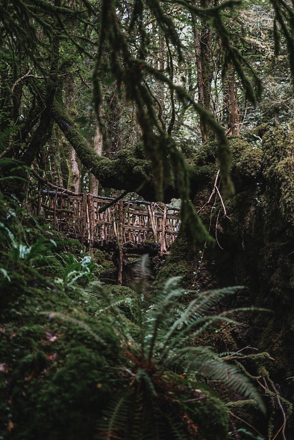 Puzzlewood, Forest of Dean, Wales