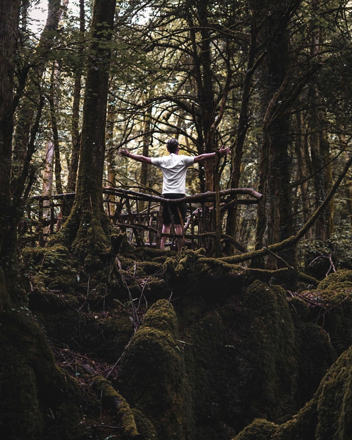 Puzzlewood, Forest of Dean, Wye Valley